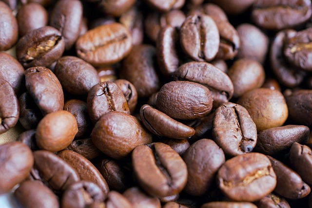 원두이미지비주얼